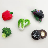 Vegetable Magnets 3D Resin Magnets (set of 5)