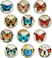 Butterfly Magnets Crystal Glass Magnets (set of 12)