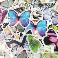 Gardener's Dream Decorative Scrapbooking Washi Stickers (60 sheets)