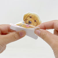 Silly Dogs Waterproof Vinyl Stickers (100 stickers)